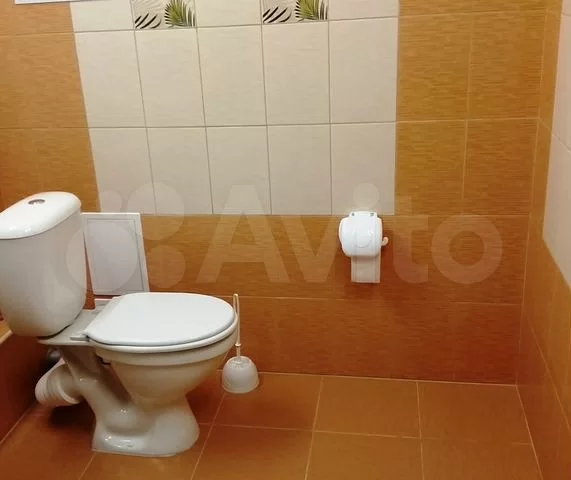 Аникина - 16 №8