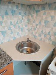 Палласа - 6 №1