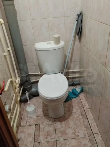 Петухова - 99/2 №9