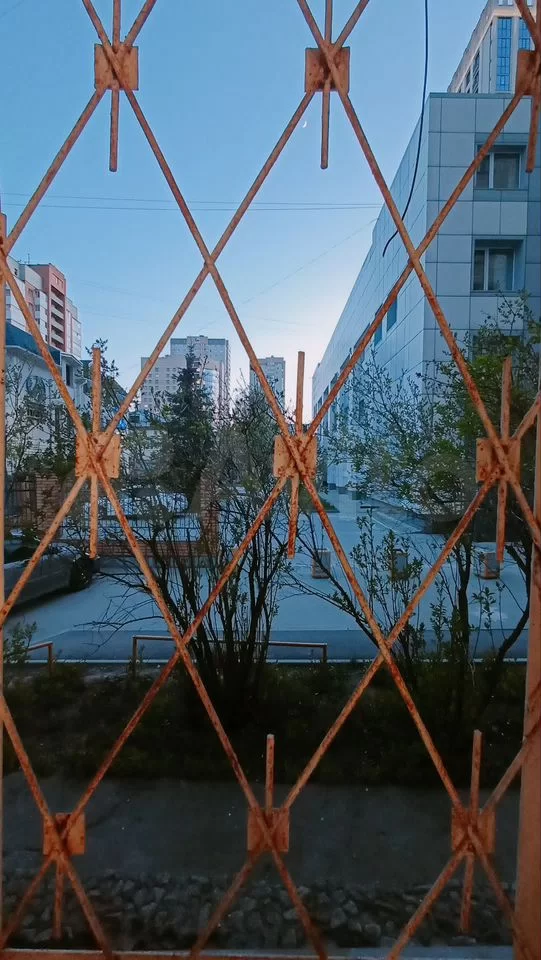 Ломоносова - 61 №1