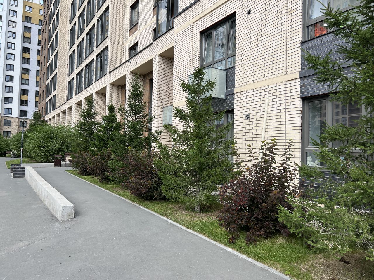 Кошурникова - 23/2 №2