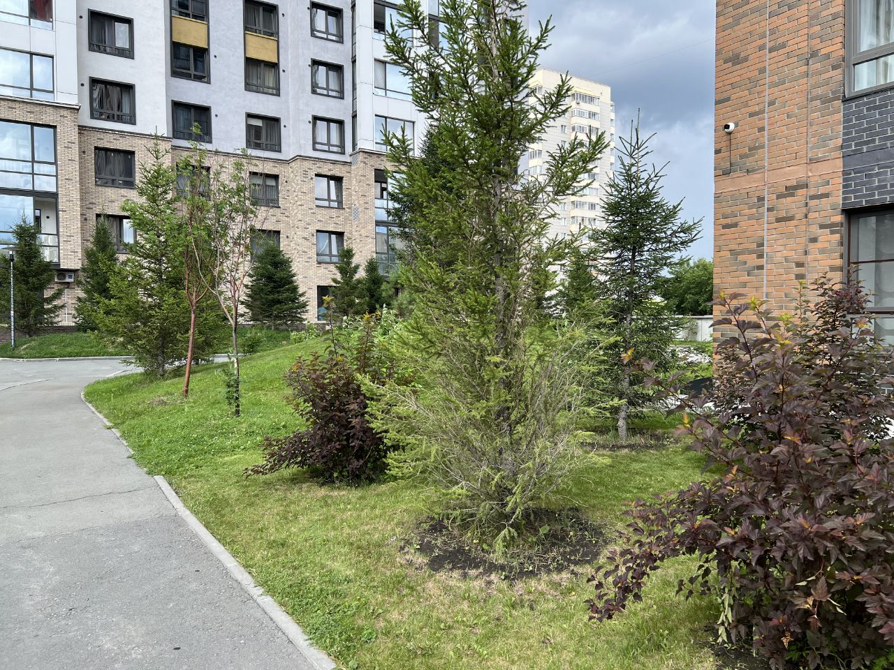 Кошурникова - 23/2 №1