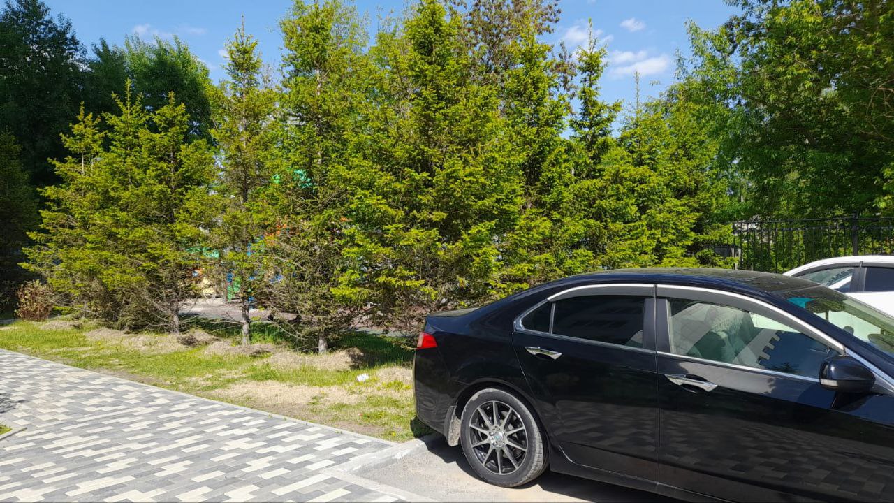 Красногорская - 31/1 №3