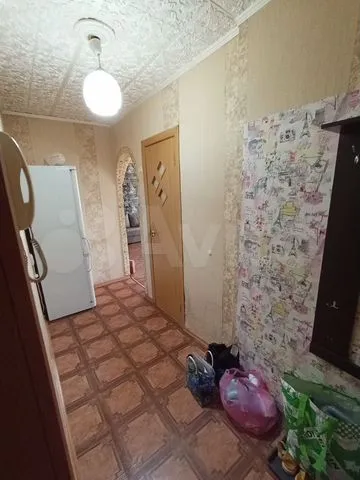 Столетова - 14 №1