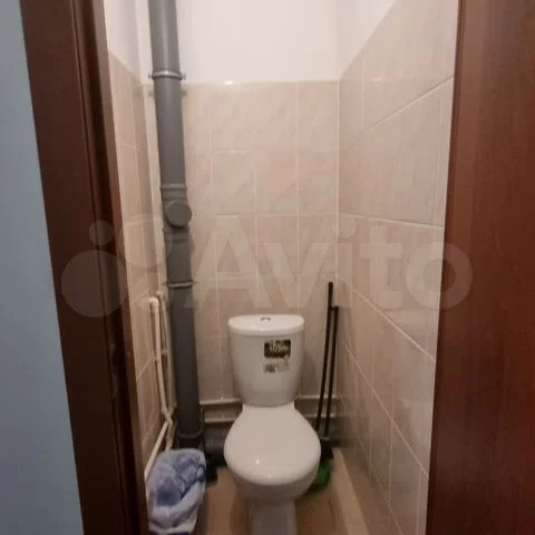 Тюленина - 24/1 №7