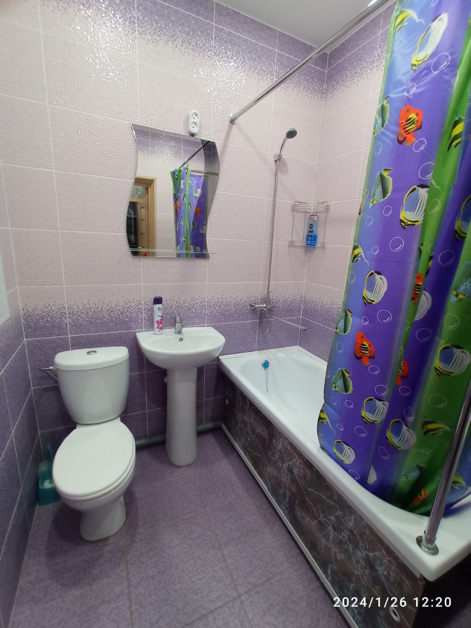 Заречная - 51 №4