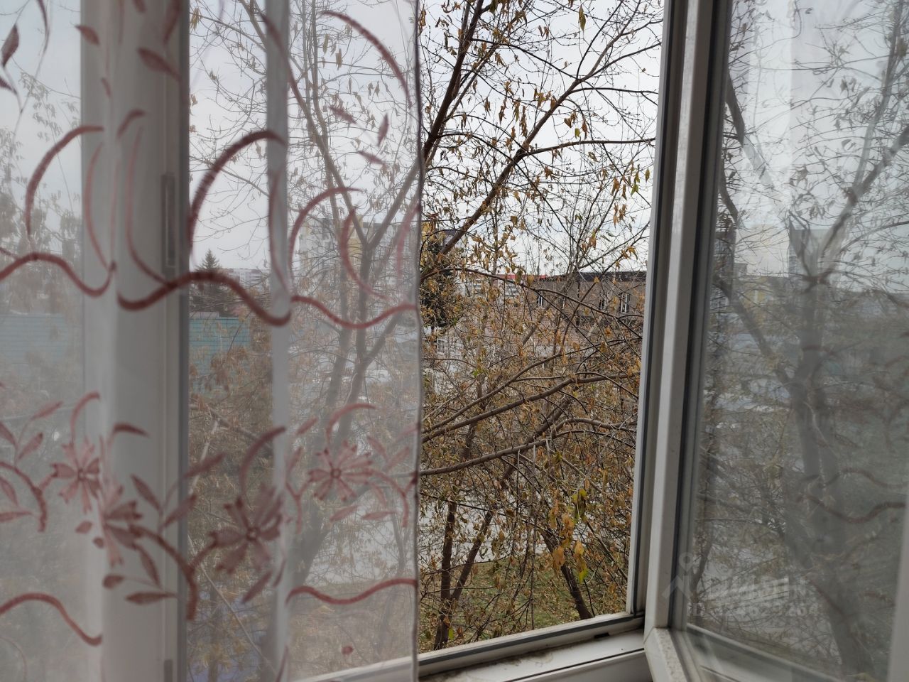 Чигорина - 12 №4