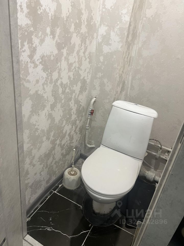 mini_Палласа - 1 №1