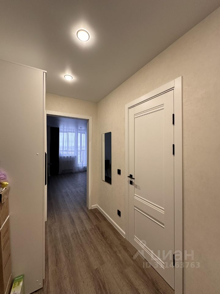 Зорге - 229/2 №5