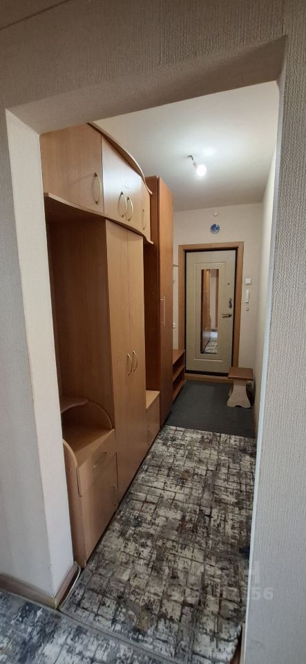 Петухова - 99/2 №17