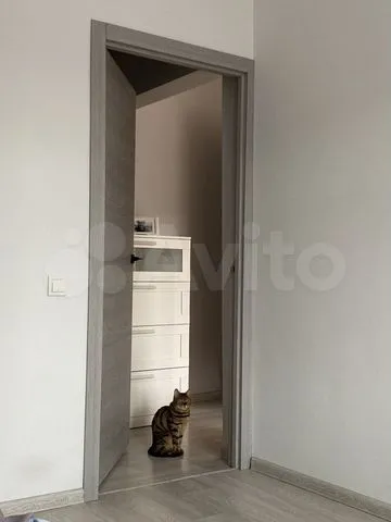 Депутатская - 58 №6