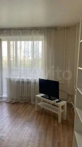 mini_Выборная - 117 №1