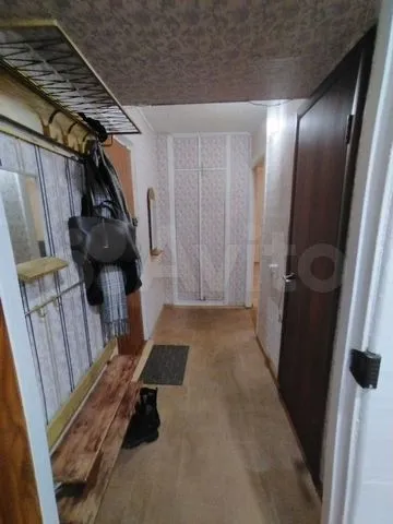 Телевизионная - 11 №7