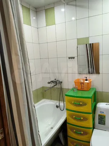 Стрижи - 1 №2