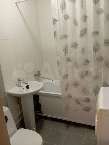 Красный проспект - 331 №2