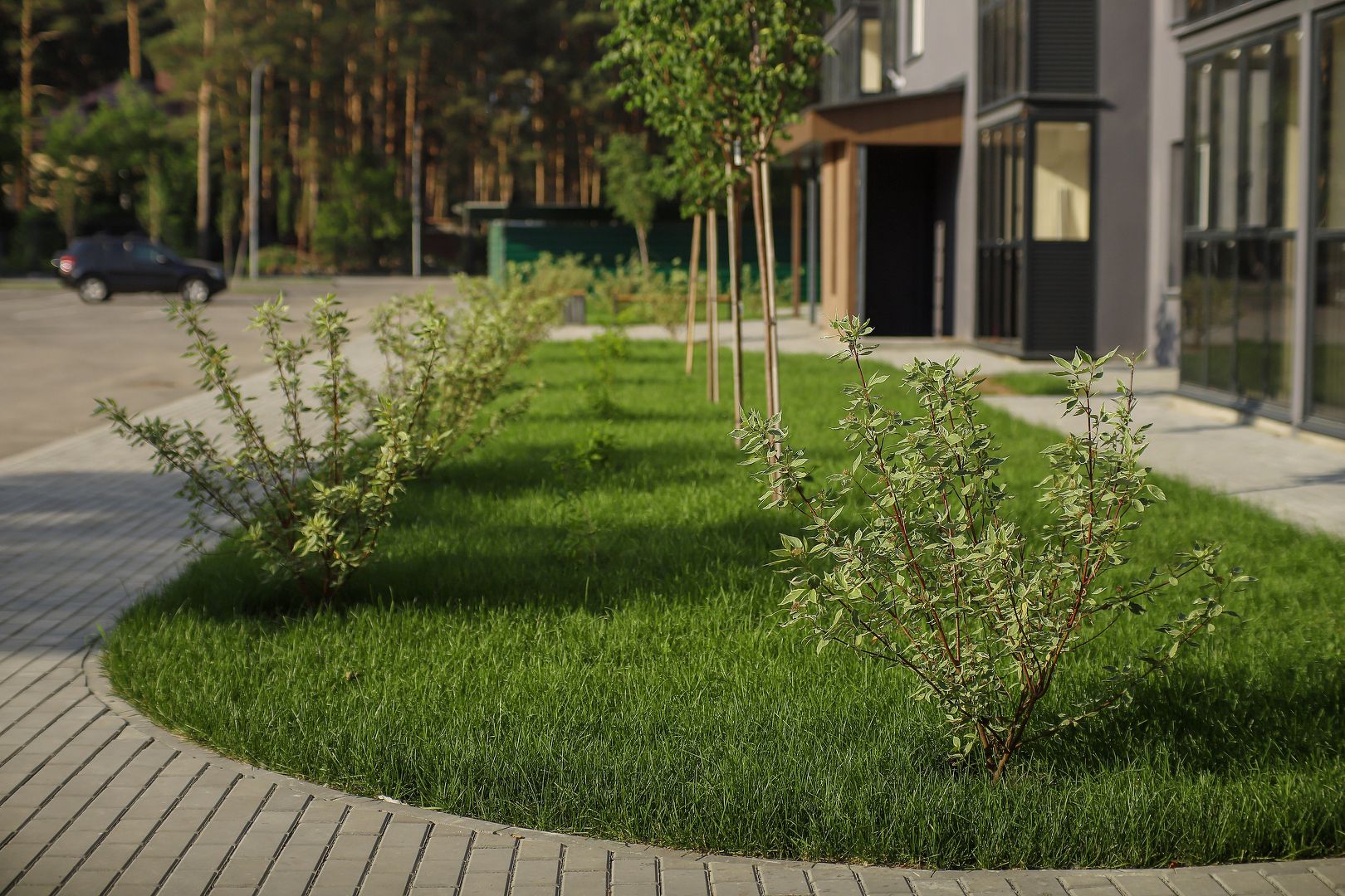 Квартал Сосновый бор, Октябрьская улица, 20