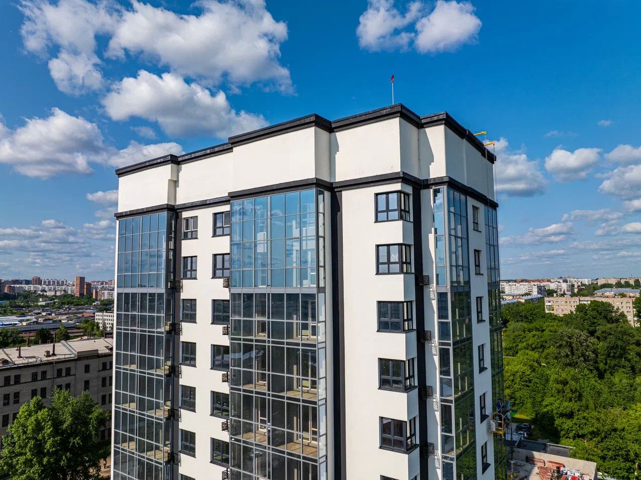 Ежевика №12