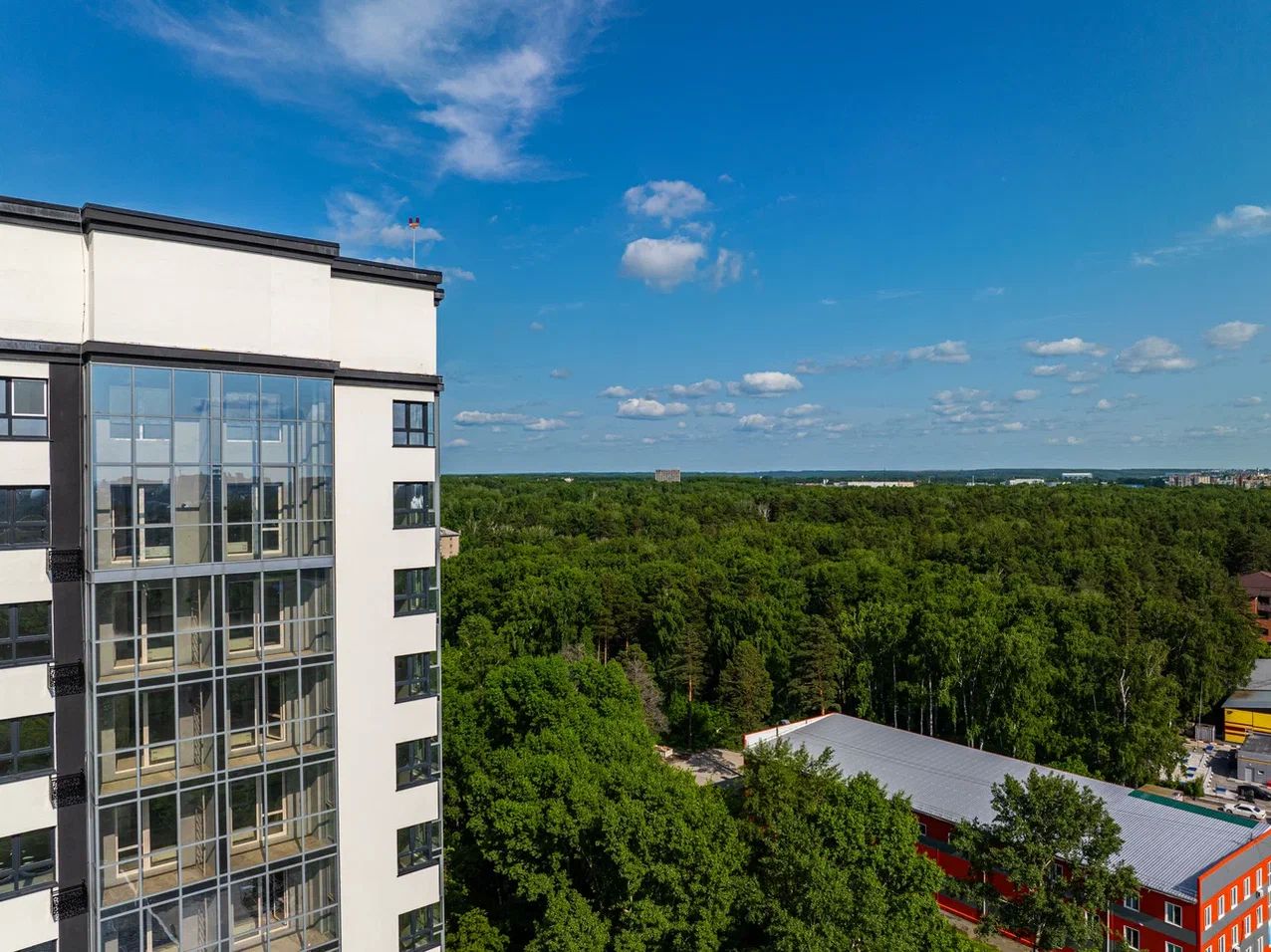 Ежевика №13