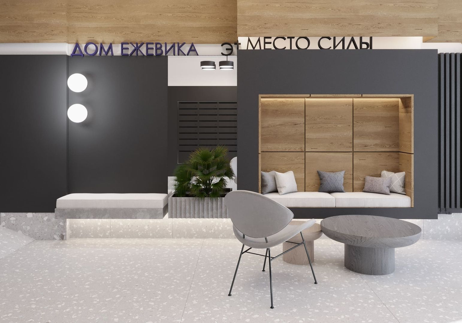 Ежевика №17