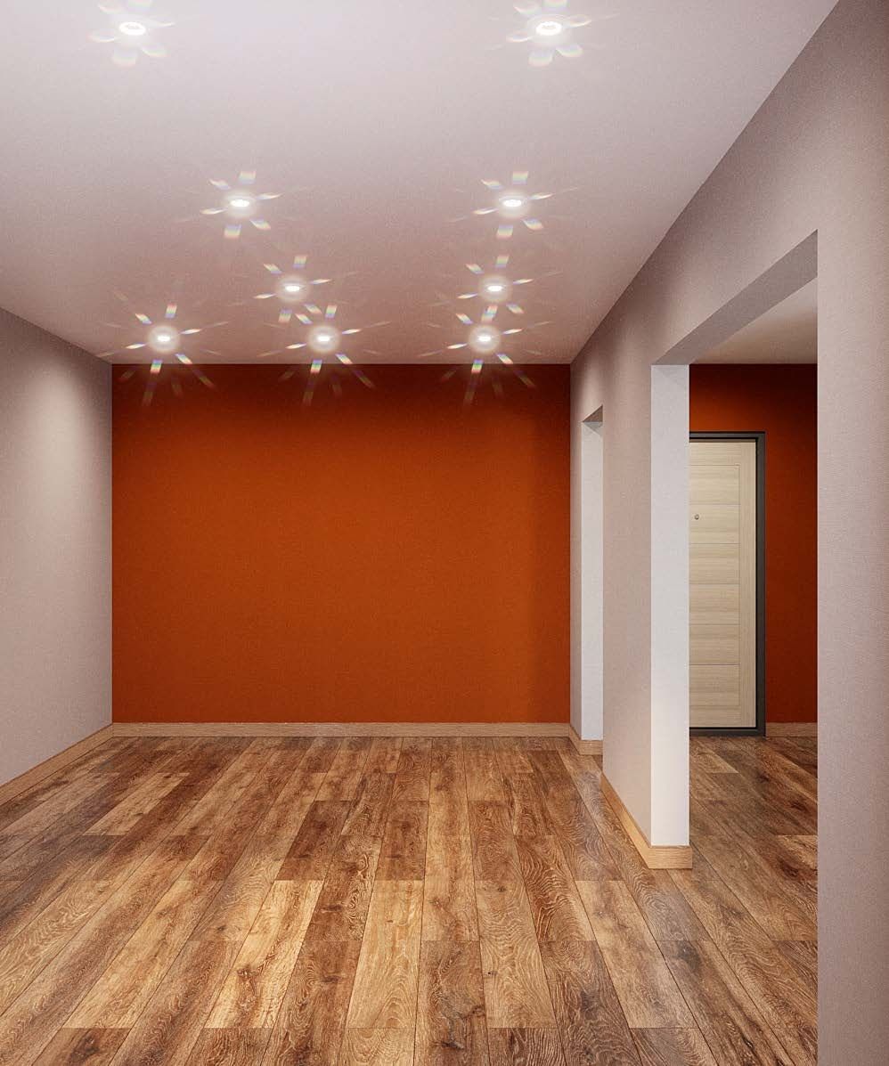 Ежевика №24