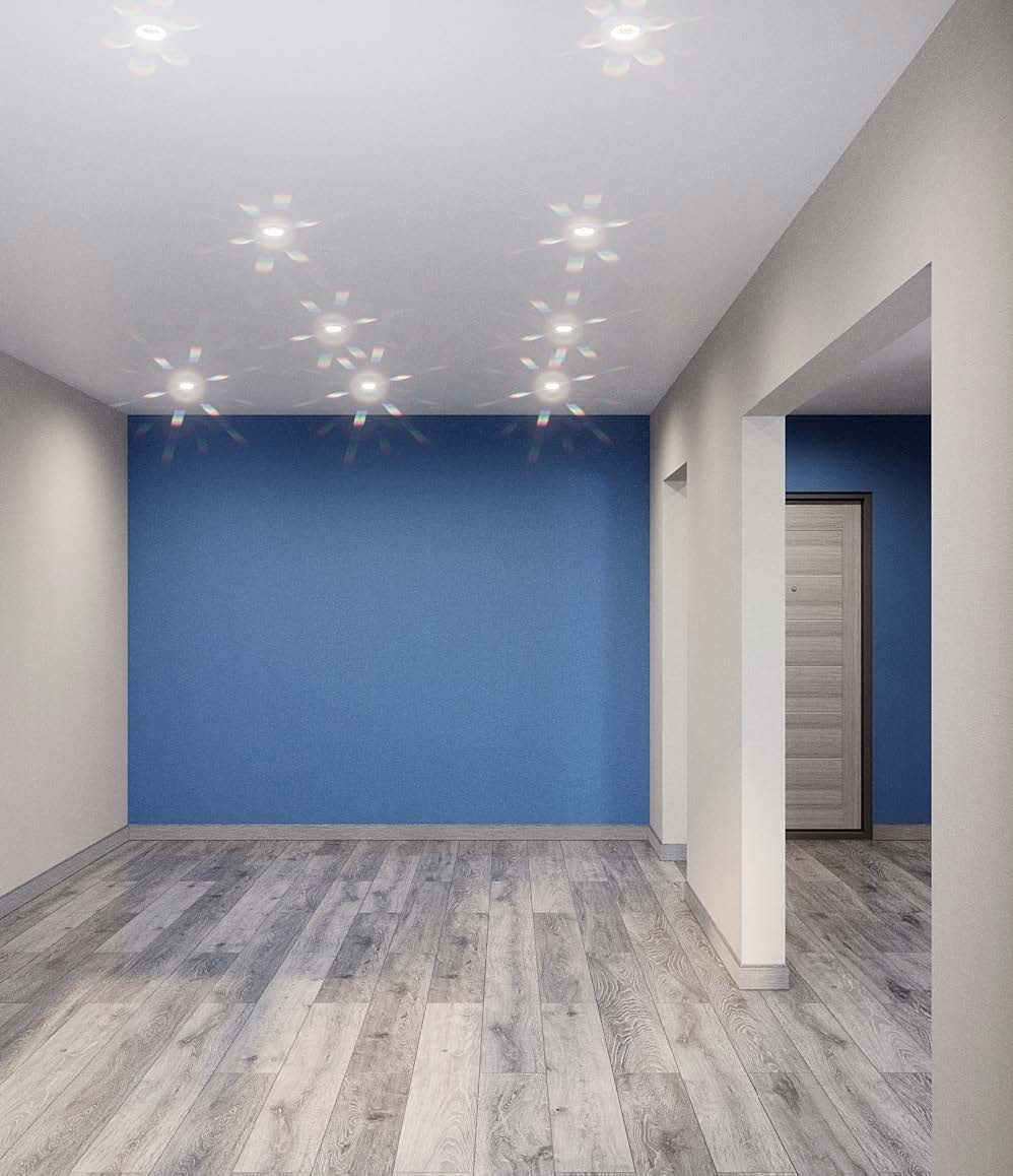 Ежевика №30