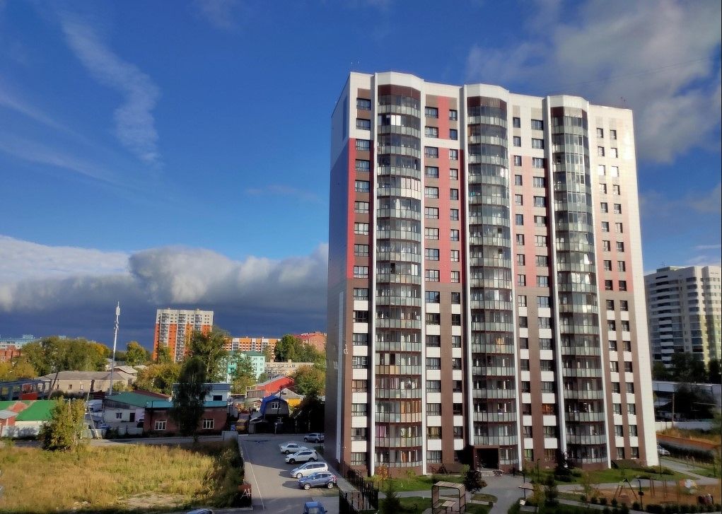 Виноград №9