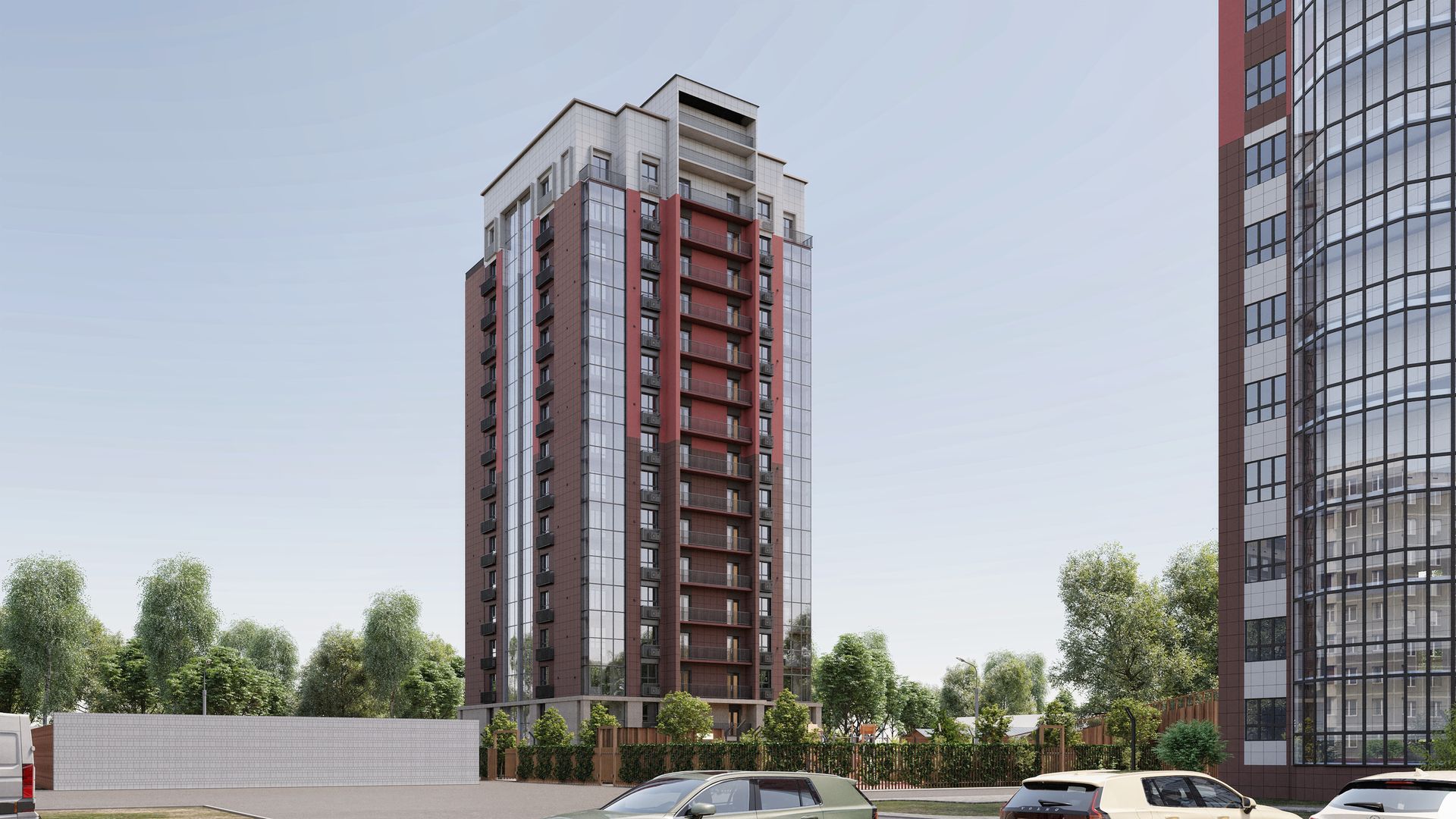 Виноград №11