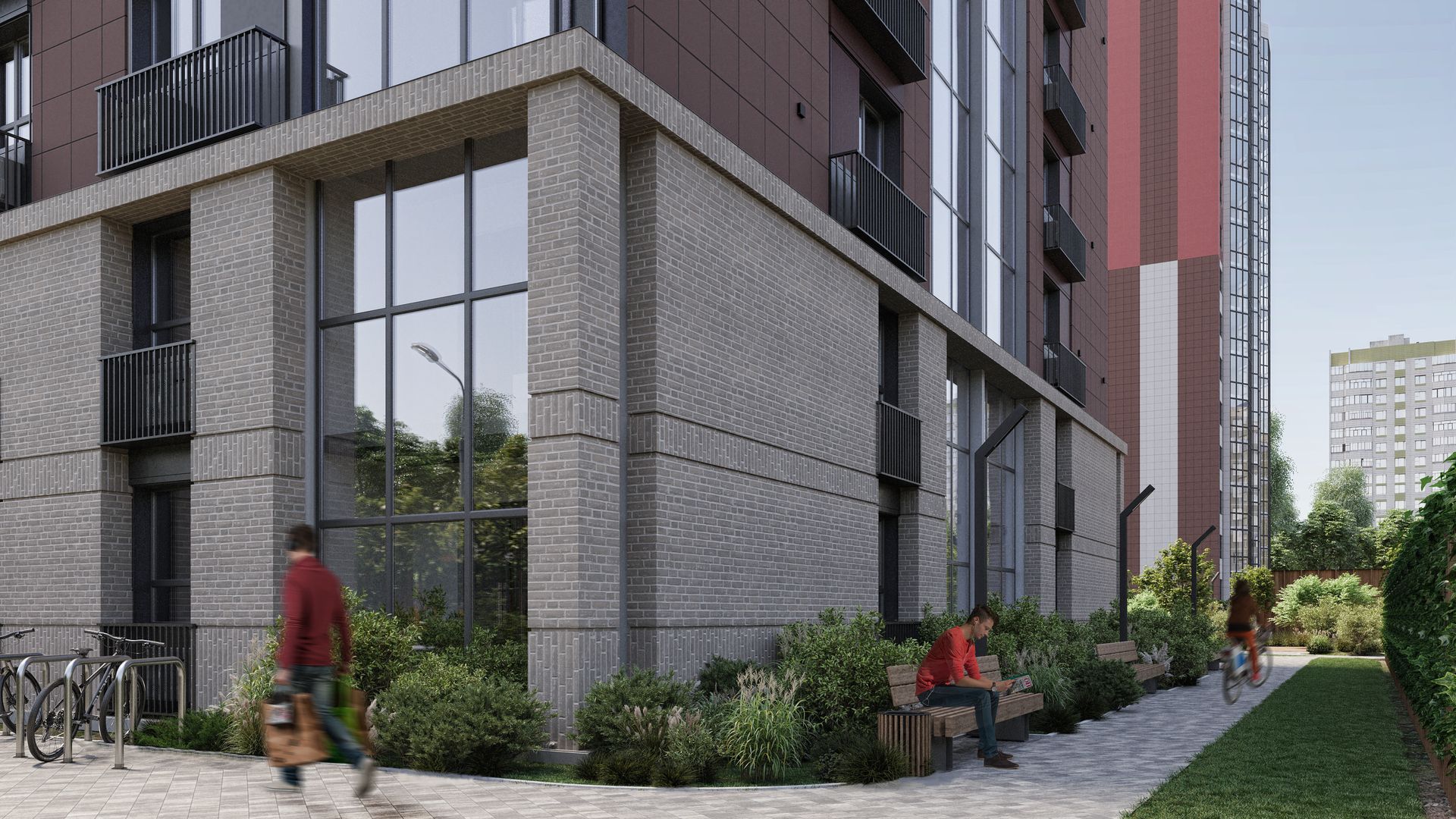 Виноград №14