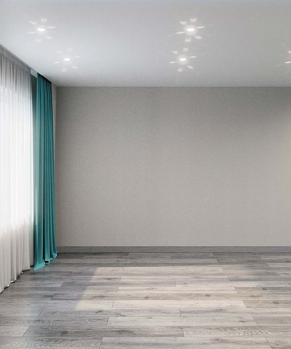 Виноград №27