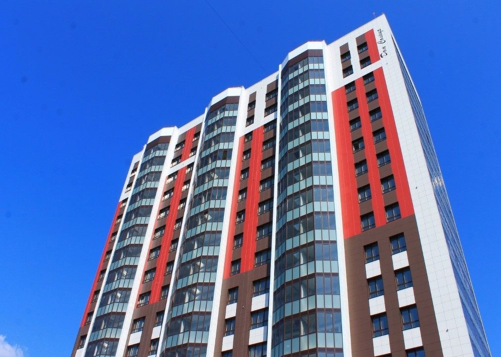 Виноград №4