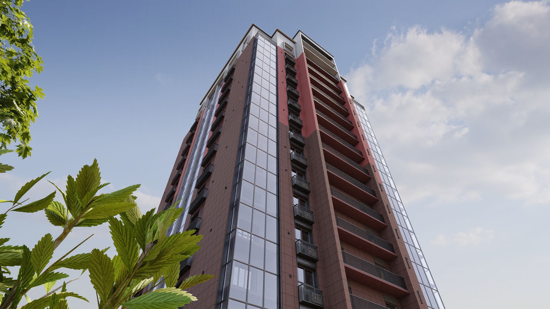 Виноград №5