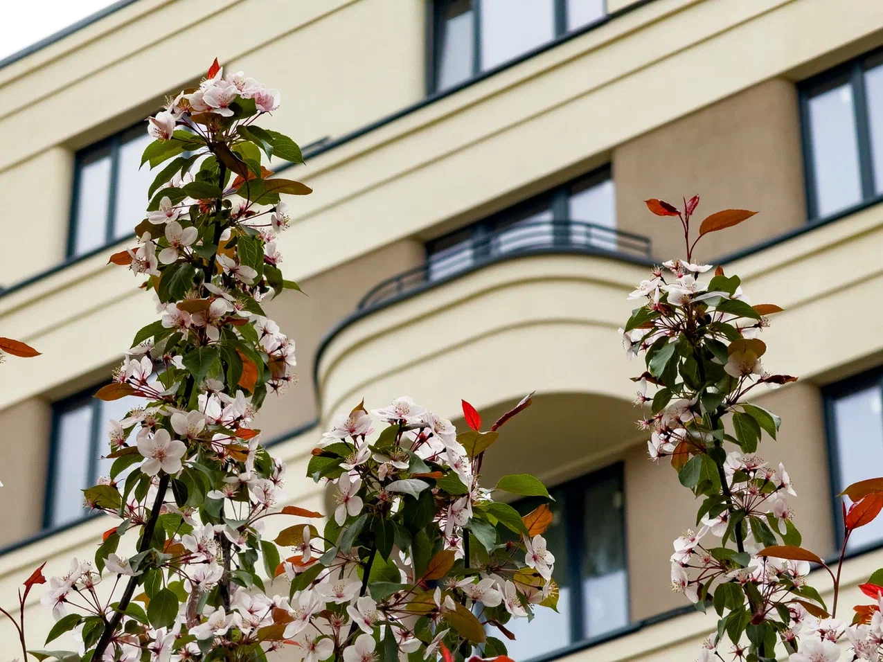 Квартал «Новый Кедровый» №15