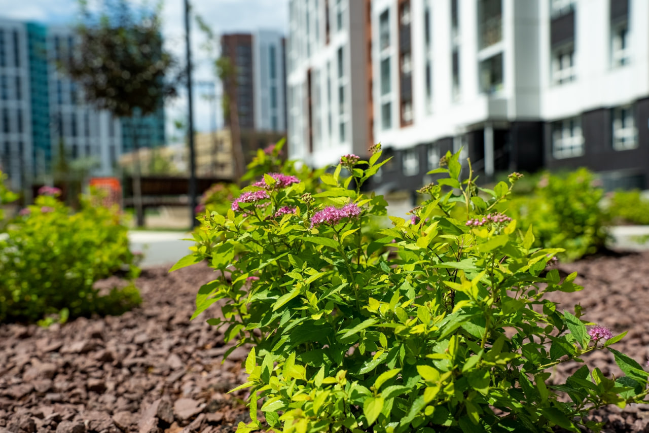 Галактика №15