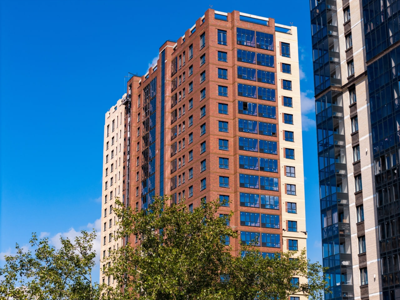 FOR STARS (Фор Старс) №8