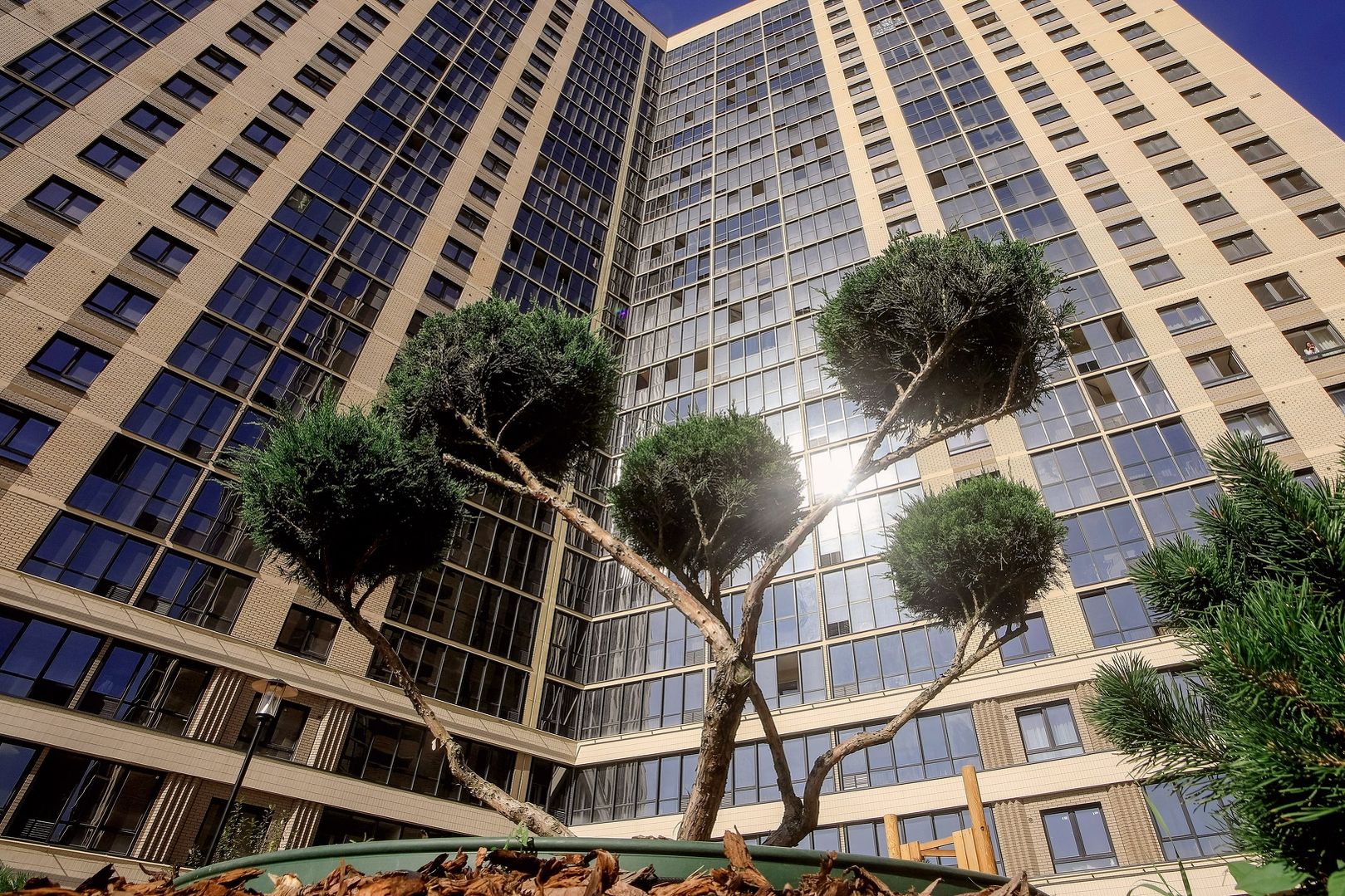 Сакура парк №7