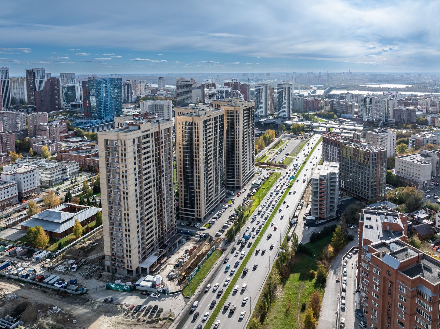 Сакура парк №8