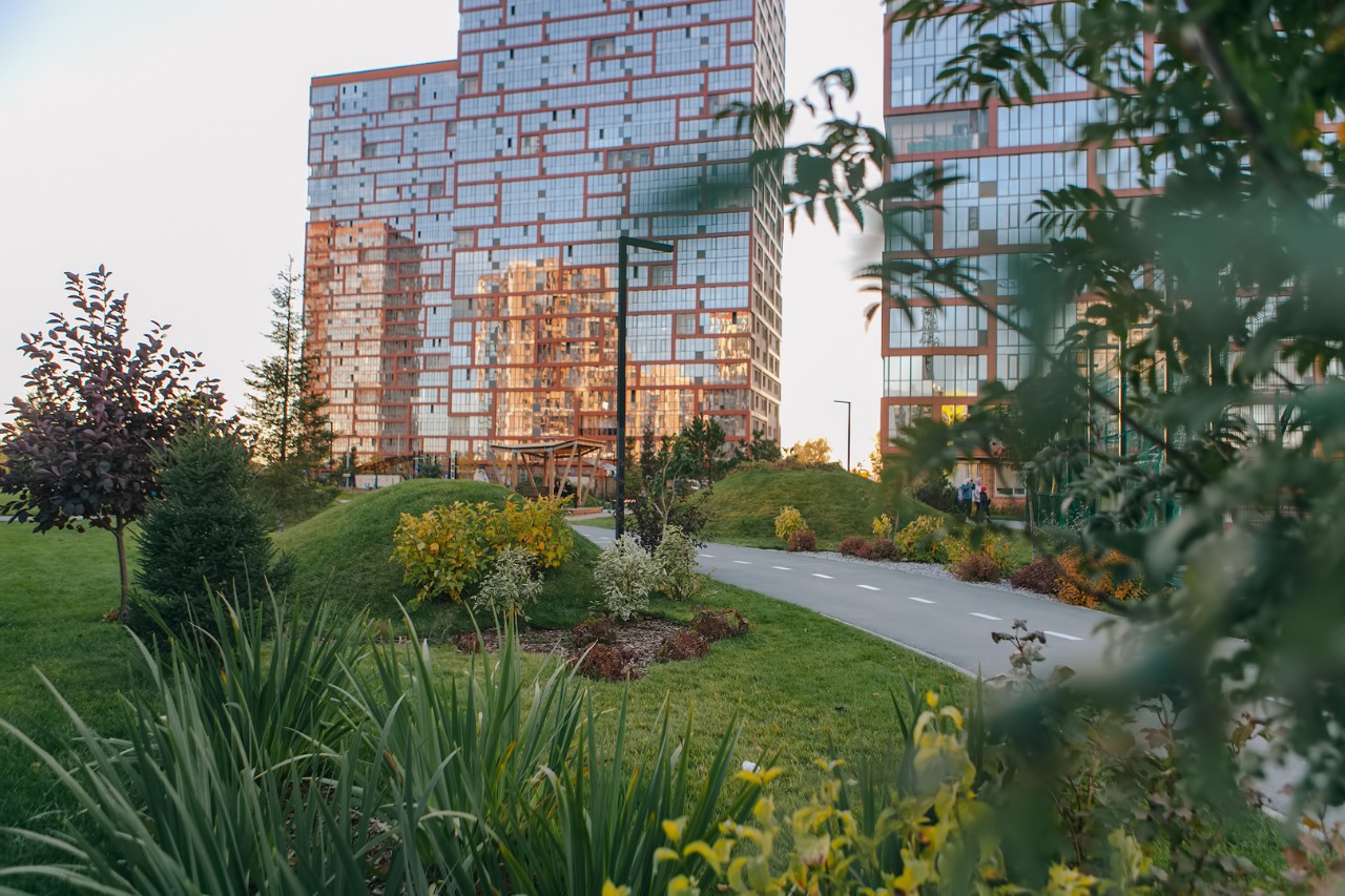 Ясный берег №2