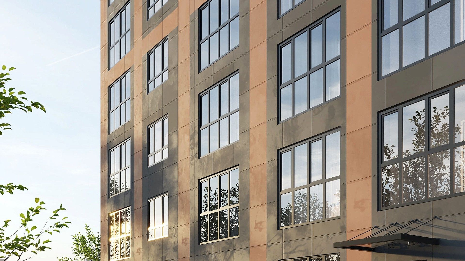 Биография №6